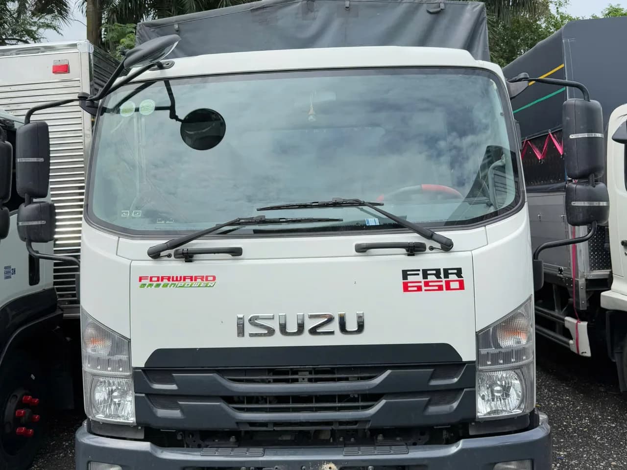 Isuzu FRR 650 mui bạt đời 2025 - ảnh 2
