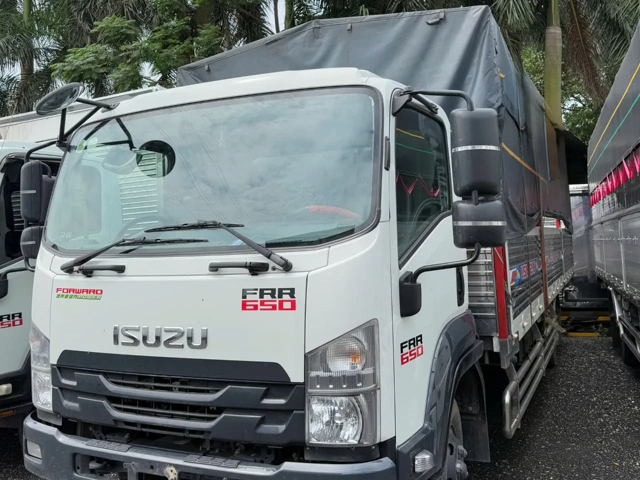 Isuzu FRR 650 mui bạt đời 2025 - ảnh 3