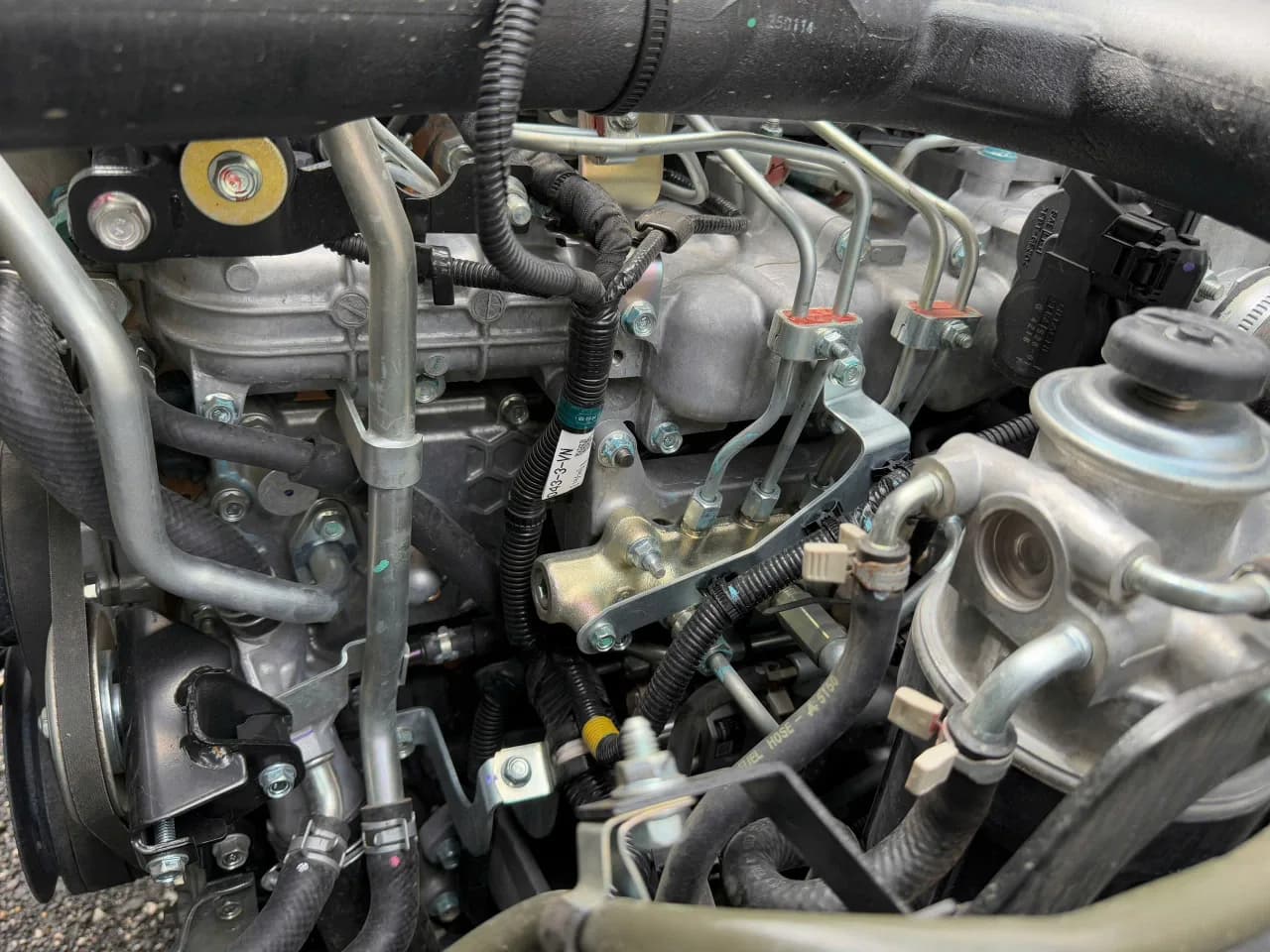 Isuzu FRR 650 mui bạt đời 2025 - ảnh 8